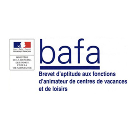 Diplôme BAFA - Brevet d'Aptitude aux Fonctions d'Animateur